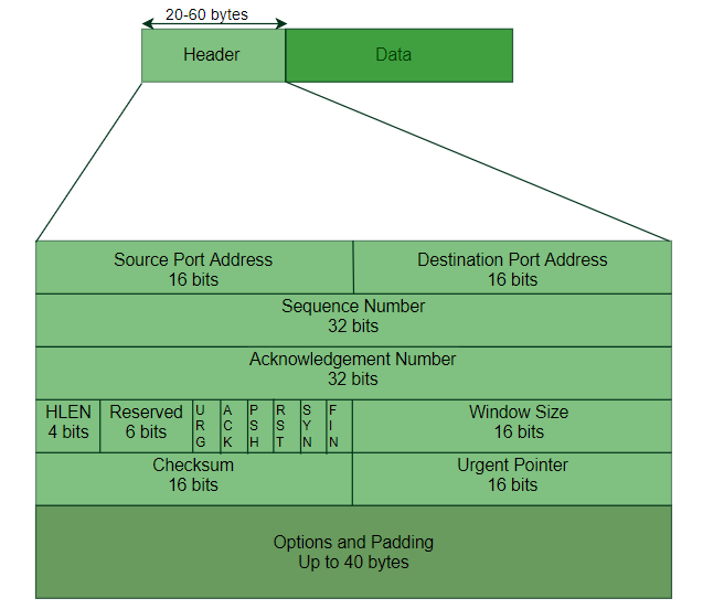 TCP Header